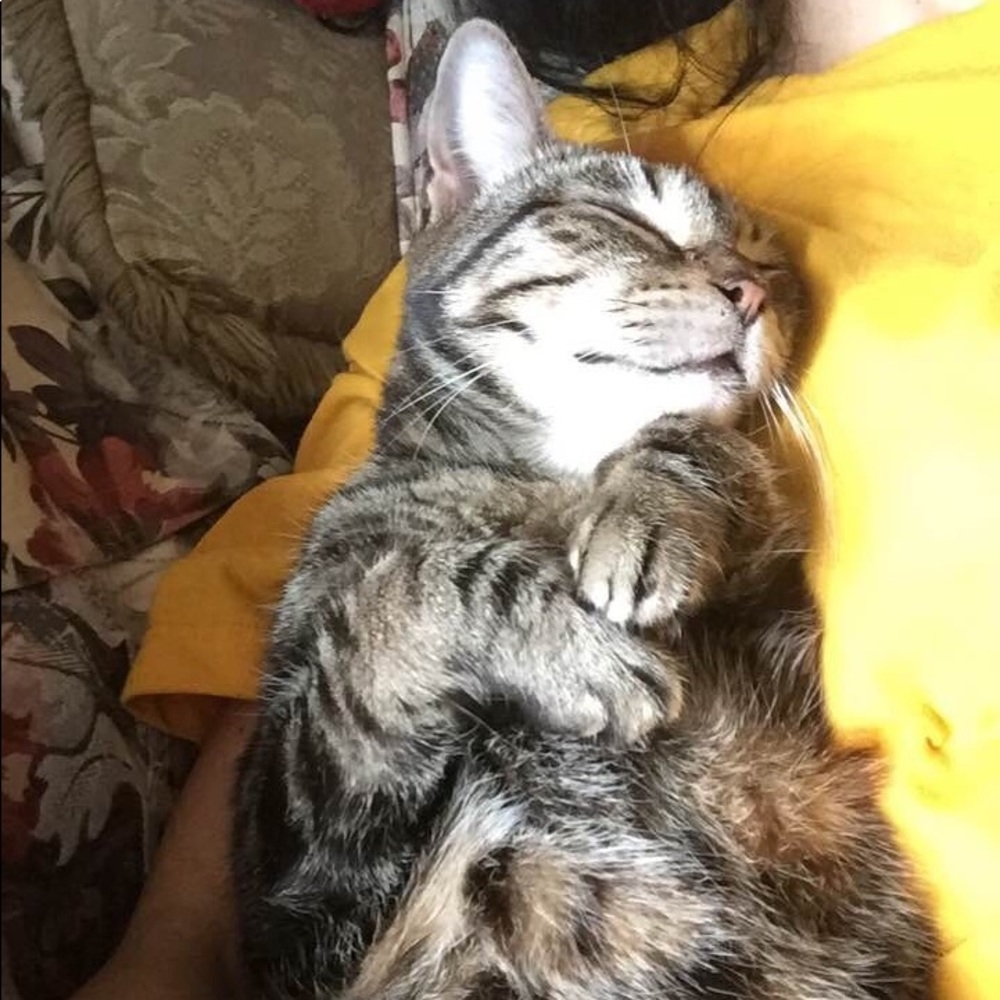 My cutie pie
